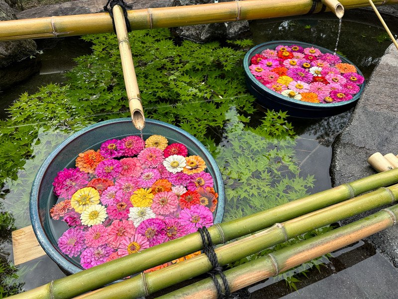 🦊 오키쿠 이나리 신사(오키쿠이나리진자) 이미지 7